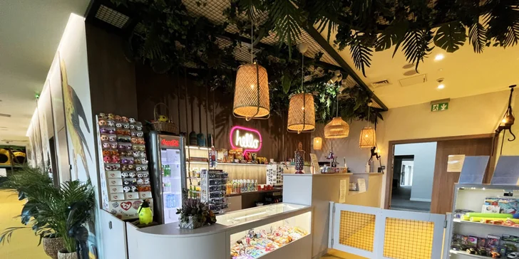 Perfektná dovolenka pre rodiny s deťmi: hotel 100 m od pláže, bazén, sauna aj animácie