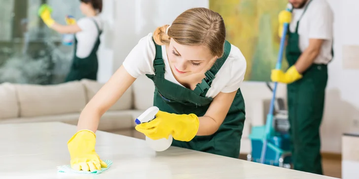 Profesionálne upratovanie a umývanie domácností na strednom a západnom Slovensku