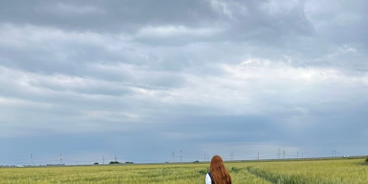 Vstup na Alpaca Farmu: Užite si prechádzku s alpakami aj ich kŕmenie