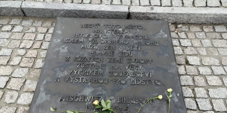 Celodenná prehliadka Osvienčimu (Auschwitz I a Auschwitz II-Birkenau) s českým sprievodcom pre 1 či 2 osoby