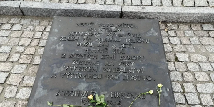 Celodenná prehliadka Osvienčimu (Auschwitz I a Auschwitz II-Birkenau) s českým sprievodcom pre 1 či 2 osoby