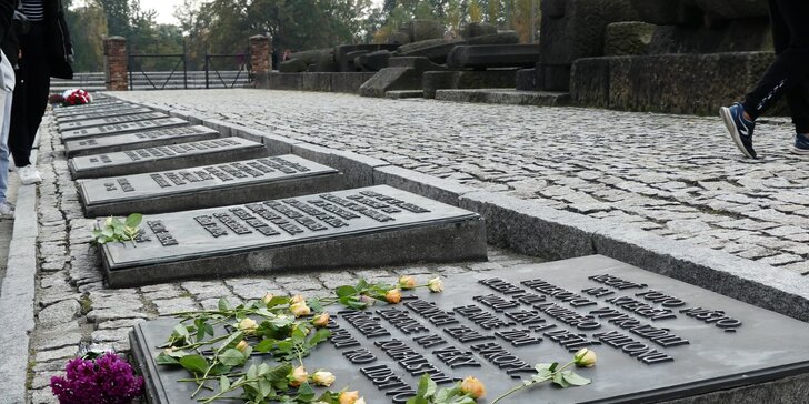 Celodenná prehliadka Osvienčimu (Auschwitz I a Auschwitz II-Birkenau) s českým sprievodcom pre 1 či 2 osoby