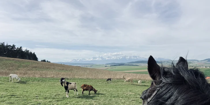 Spoznajte Slovenský raj z konského chrbta! Vychádzka na koni do prírody pre 1 alebo 2 osoby
