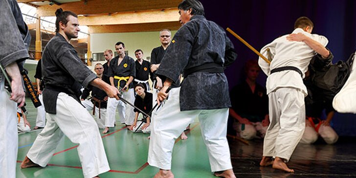 1 alebo 3 mesačný tréning Kobudo či Karate