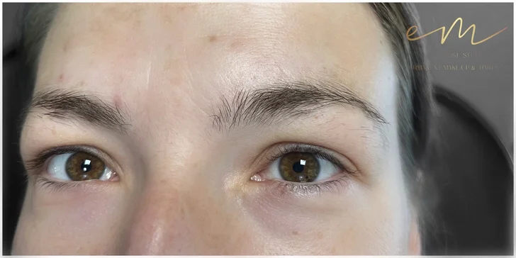 Minitetovanie, microblading, akvarelové pery či púdrové obočie s korekciou v cene v Em Artist Studio