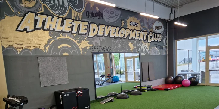 Vstup do gymu pre hobby a profi športovcov: Silový, kondičný a funkčný tréning
