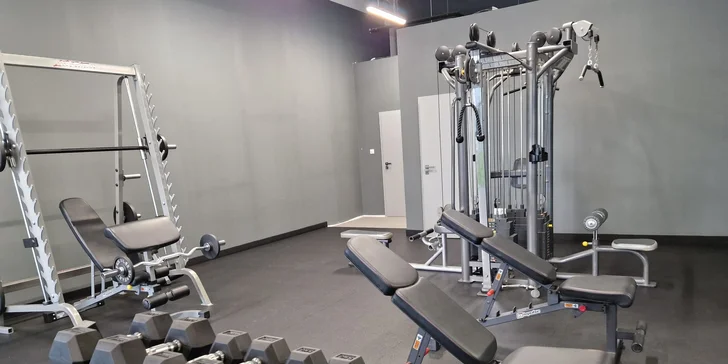 Vstup do gymu pre hobby a profi športovcov: Silový, kondičný a funkčný tréning