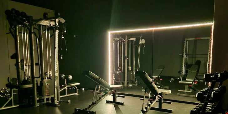 Vstup do gymu pre hobby a profi športovcov: Silový, kondičný a funkčný tréning