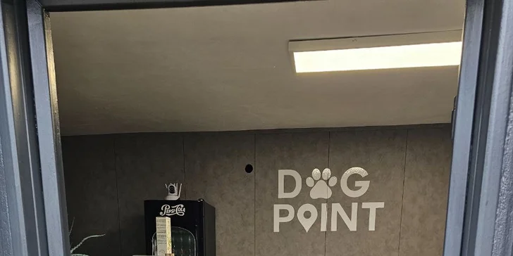 Dentálna hygiena bez narkózy alebo príjemné SPA pre vášho psíka