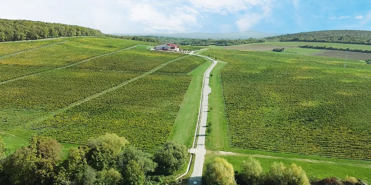 Zážitkový večer vo vinohrade s degustáciou príp. večerou a víťaznou kolekciou vín