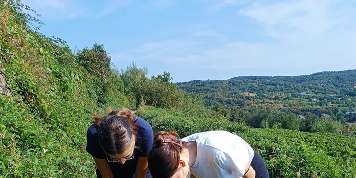 7miest Svätý Jur: Dobrodružná exteriérová hra pre rodiny s deťmi