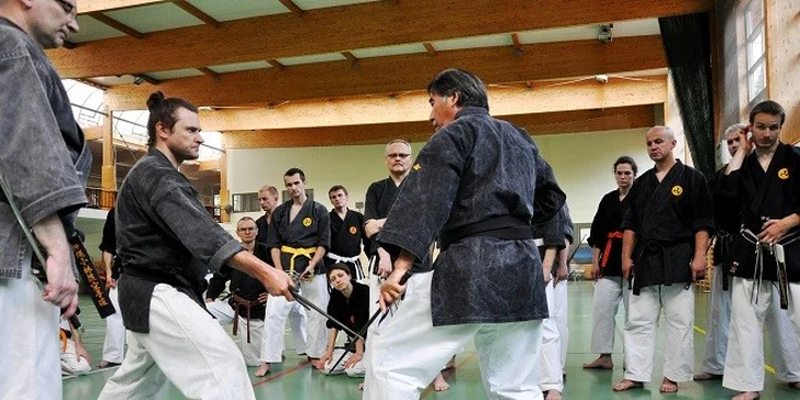 1 alebo 3 mesačný tréning Kobudo či Karate
