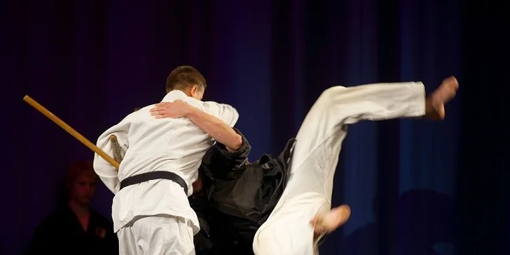 1 alebo 3 mesačný tréning Kobudo či Karate