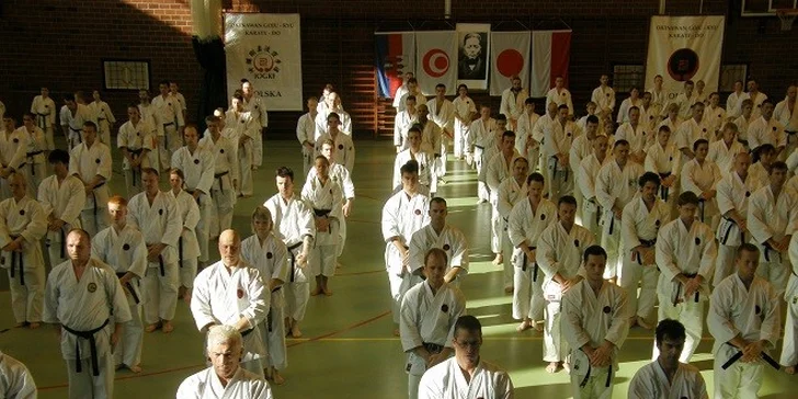 1 alebo 3 mesačný tréning Kobudo či Karate