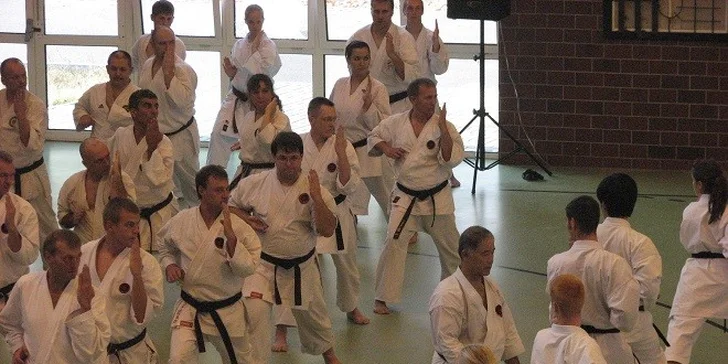 1 alebo 3 mesačný tréning Kobudo či Karate