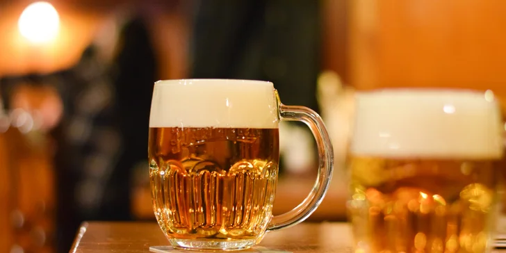 Hotel Ibis v Plzni: raňajky alebo polpenzia aj prehliadka pivovaru alebo wellness