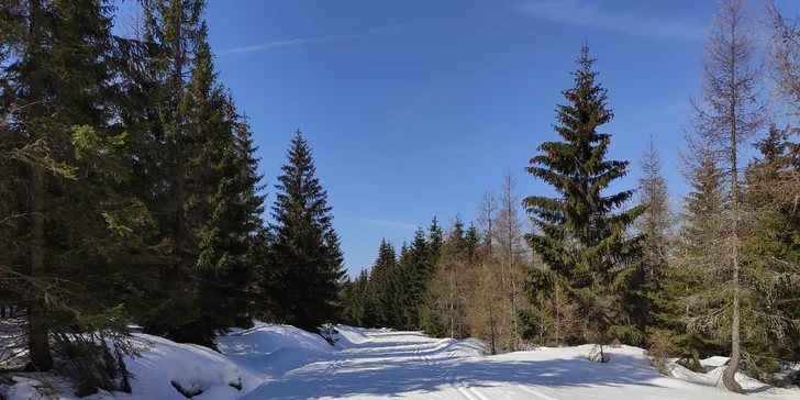 Apartmány až pre 6 osôb v Sklárskej Porube: wellness, fitness aj možnosť raňajok