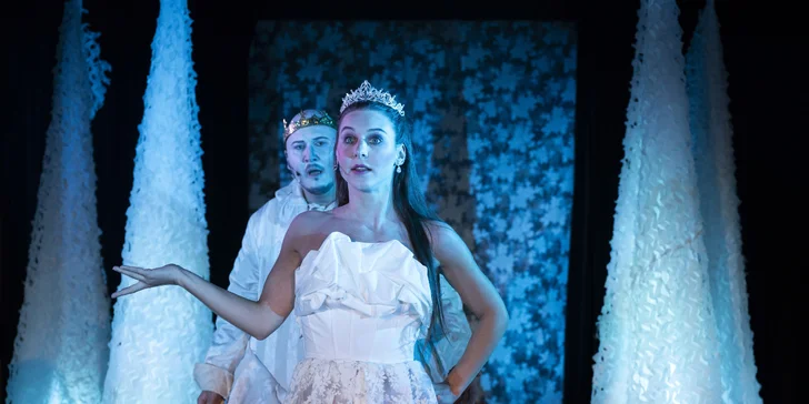 Rozprávkový muzikál Takmer pyšná princezná