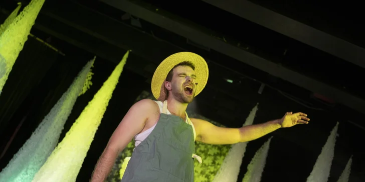 Rozprávkový muzikál Takmer pyšná princezná
