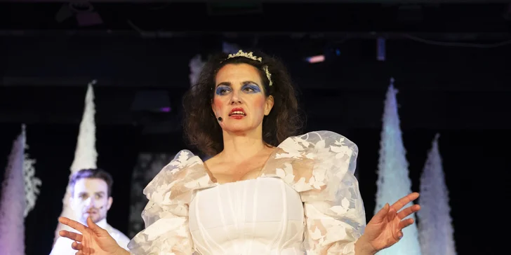 Rozprávkový muzikál Takmer pyšná princezná