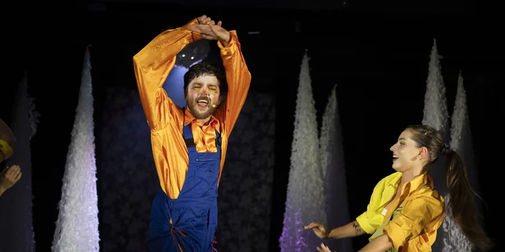 Rozprávkový muzikál Takmer pyšná princezná
