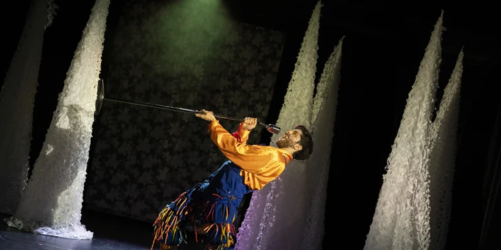 Rozprávkový muzikál Takmer pyšná princezná
