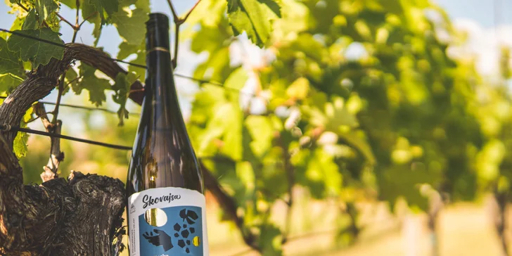 Degustácia vín z rodinného pezinského vinárstva Skovajsa