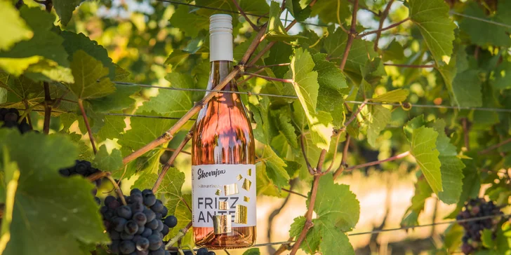 Degustácia vín z rodinného pezinského vinárstva Skovajsa