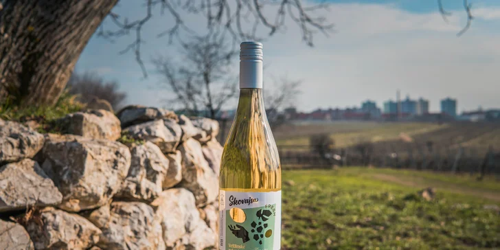 Degustácia vín z rodinného pezinského vinárstva Skovajsa