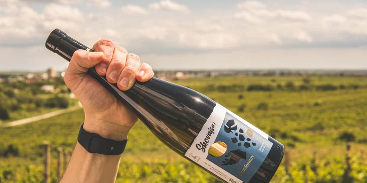 Degustácia vín z rodinného pezinského vinárstva Skovajsa