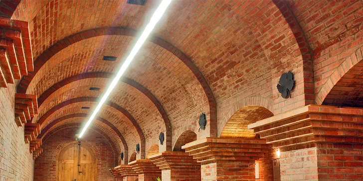 Pobyt v rodinnom vinárstve na Slovácku: polpenzia, wellness aj riadená degustácia