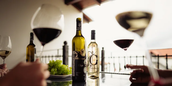 Pobyt v rodinnom vinárstve na Slovácku: polpenzia, wellness aj riadená degustácia