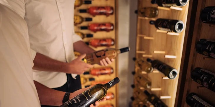 Pobyt v rodinnom vinárstve na Slovácku: polpenzia, wellness aj riadená degustácia