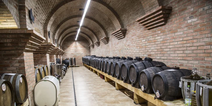 Pobyt v rodinnom vinárstve na Slovácku: polpenzia, wellness aj riadená degustácia