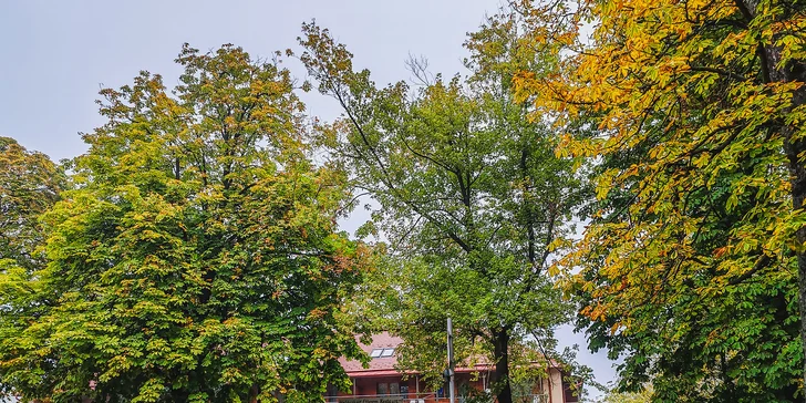 Romantický pobyt pri Balatone s wellness a polpenziou: 2 deti do 3,9 rokov zadarmo