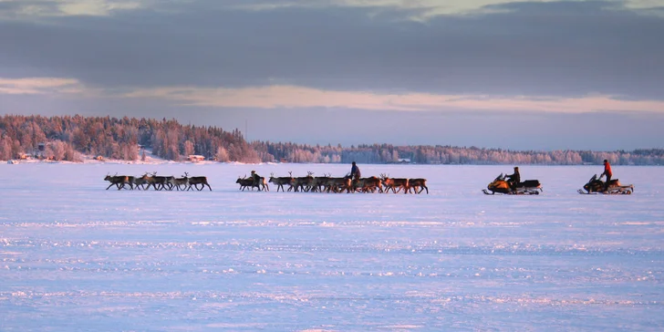 Za polárnou žiarou a krásami Botnického zálivu: prenájom domčeka pre 2-11 osôb, zapožičanie bicyklov, loďky, kajakov, český majiteľ