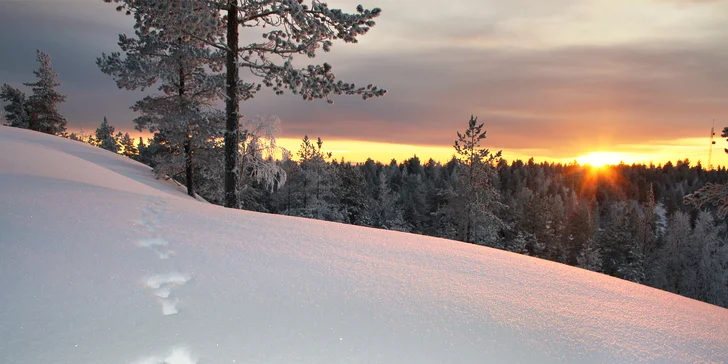 Za polárnou žiarou a krásami Botnického zálivu: prenájom domčeka pre 2-11 osôb, zapožičanie bicyklov, loďky, kajakov, český majiteľ