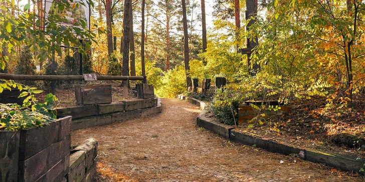 Parádna rodinná dovolenka: domčeky alebo izby pri jazernom plážovisku, raňajky aj polpenzia, wellness