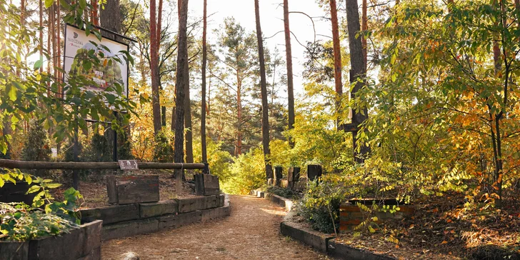 Parádna rodinná dovolenka: domčeky alebo izby pri jazernom plážovisku, raňajky aj polpenzia, wellness