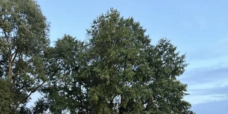 Parádna rodinná dovolenka: domčeky alebo izby pri jazernom plážovisku, raňajky aj polpenzia, wellness