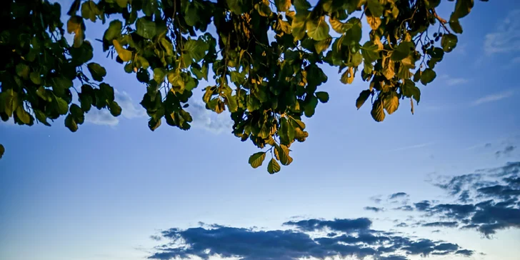 Parádna rodinná dovolenka: domčeky alebo izby pri jazernom plážovisku, raňajky aj polpenzia, wellness