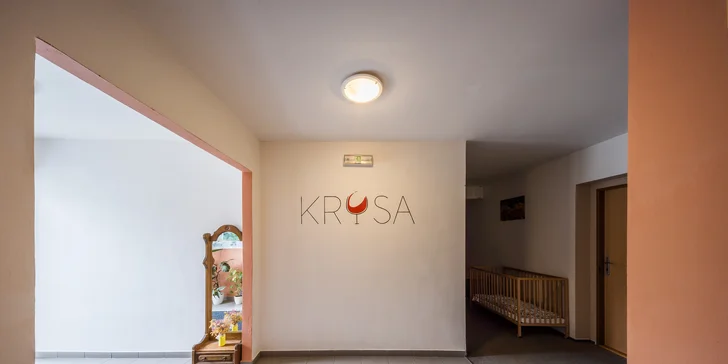 Pobyt vo vinárstve na južnej Morave s jedlom aj neobmedzeným vínom, areál s minizoo a rybníkom