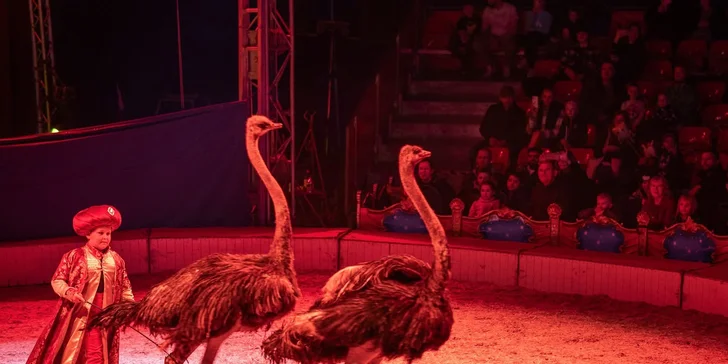 Vstupenky na predstavenie Cirkusu Aleš v Nových Zámkoch