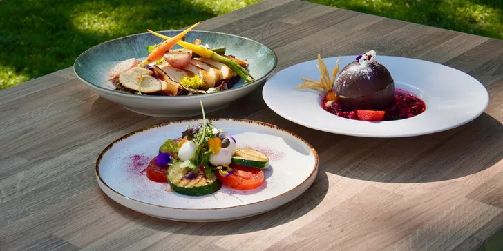 Wellness a trojchodová večera pre dvoch v Kaštieli Mojmírovce ****
