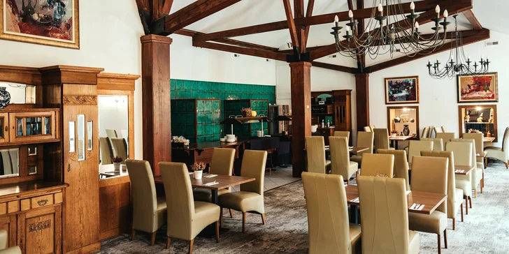 Pôvabný hotel s umením v historickom parku neďaleko Krakova s raňajkami alebo polpenziou