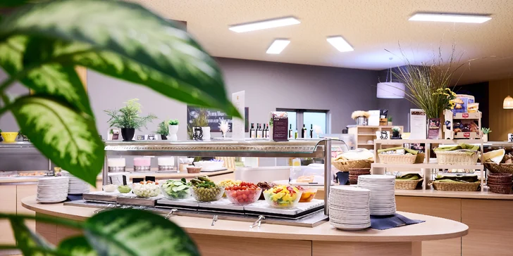 Spoznajte Viedeň: 4* hotel v širšom centre, raňajky, výlety do zoo i múzea ilúzií