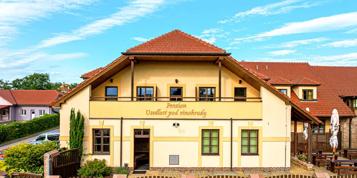 Relax uprostred Lednicko-valtického areálu s polpenziou, neobmedzeným bazénom a degustáciou