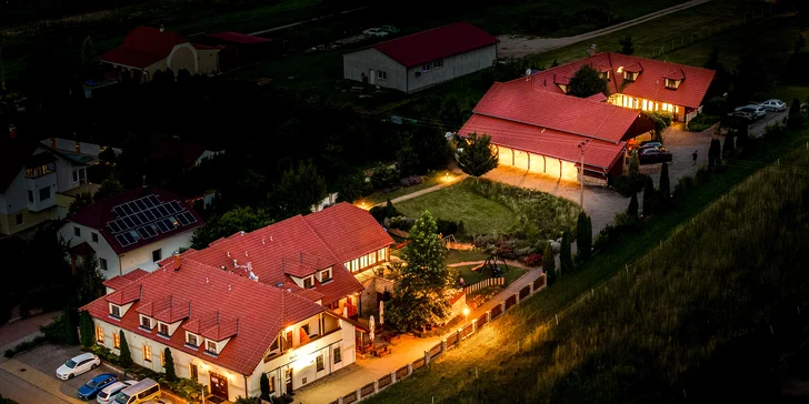 Relax uprostred Lednicko-valtického areálu s polpenziou, neobmedzeným bazénom a degustáciou