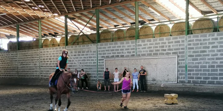 Jazdecká škola v Hoteli AGATKA: Denný letný tábor s koníkmi