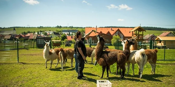 3 alebo 4 dni v podhorí Vysokých Tatier pre dvoch s polpenziou a zľavou na vstup do Aqua City Poprad